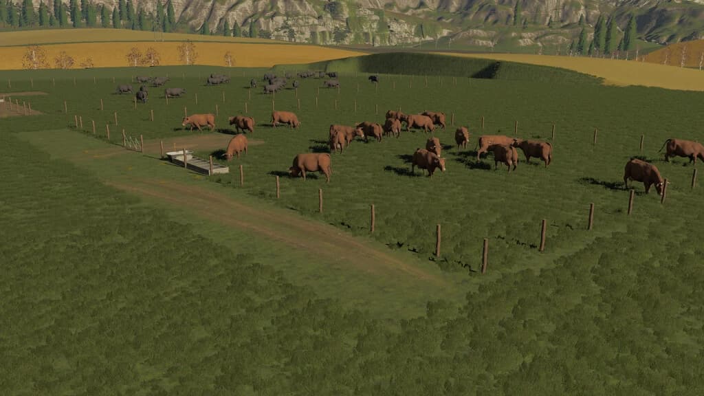 PASTURES 3