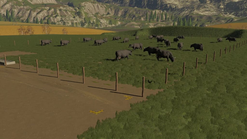 PASTURES