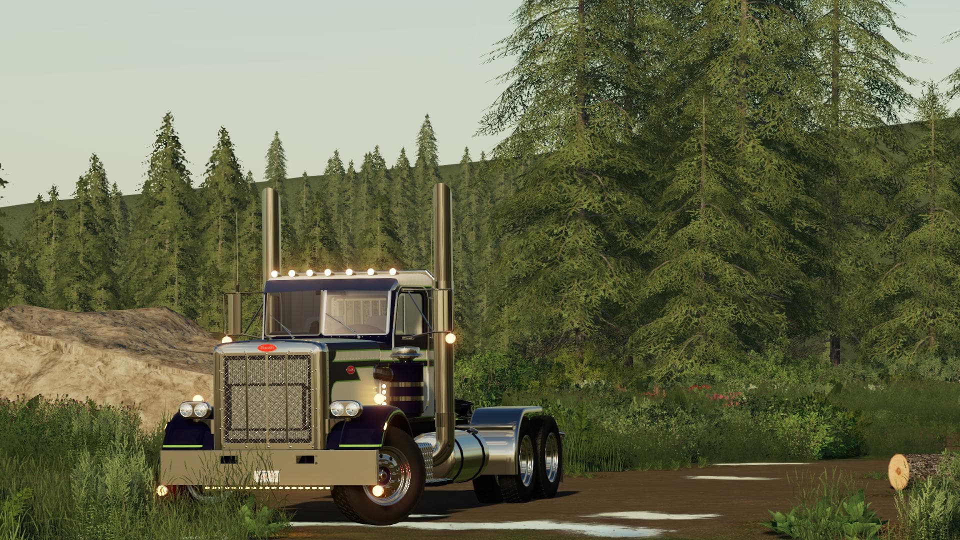 PETERBILT 359 4