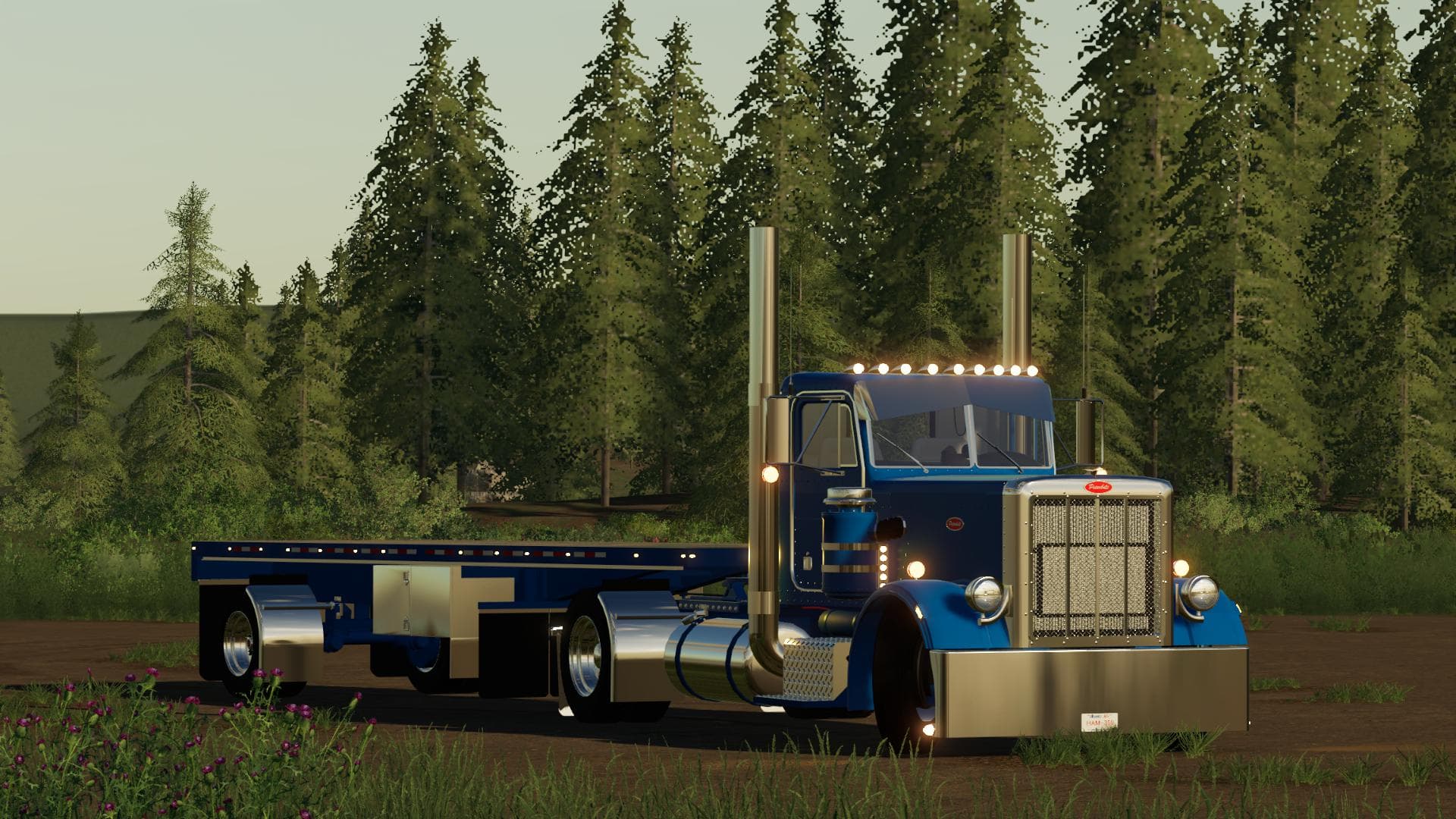 PETERBILT 359 2