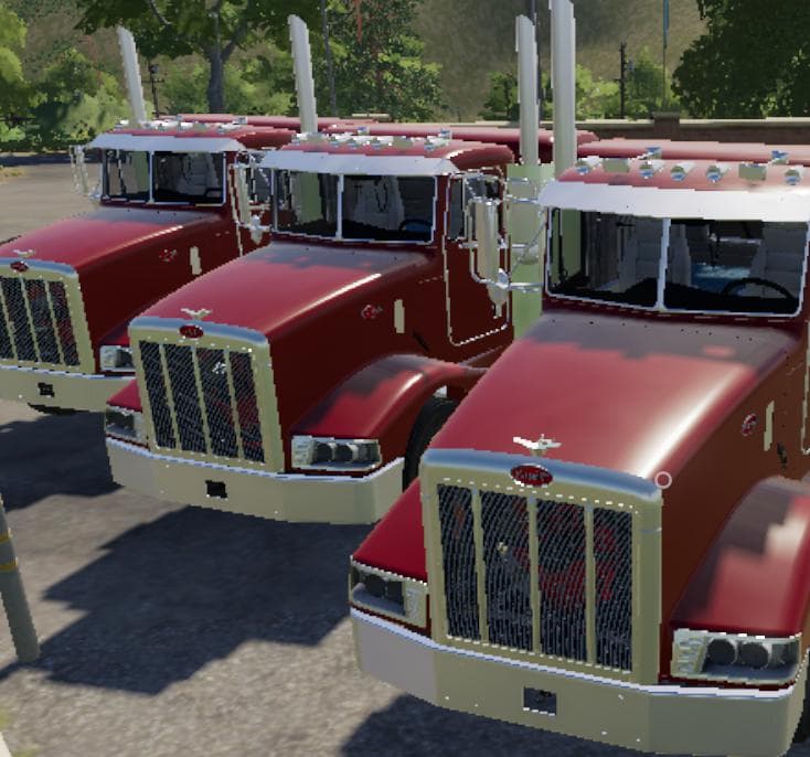 PETERBILT 377 3