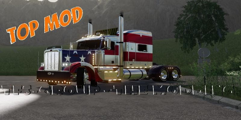 PETERBILT 388 USA 5