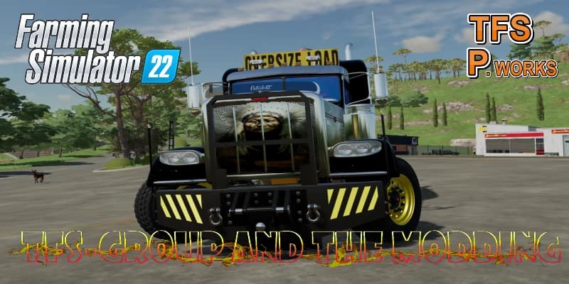 PETERBILT 389 APACHE 3