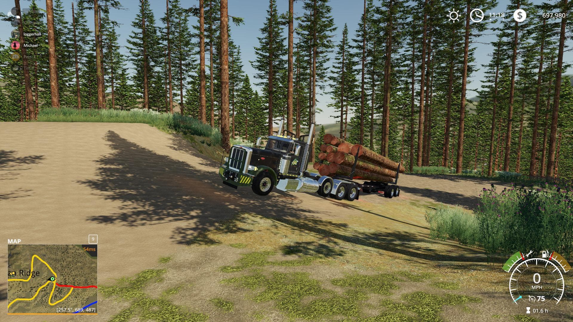PETERBILT 389 POLE TRUCK 5