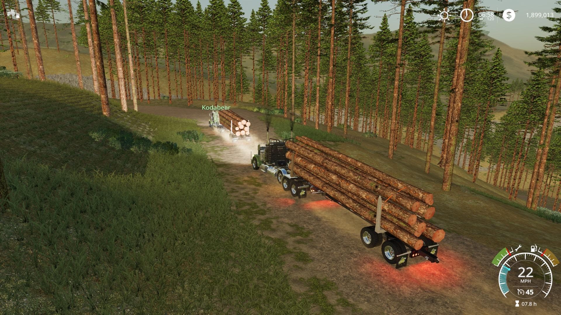 PETERBILT 389 POLE TRUCK 3