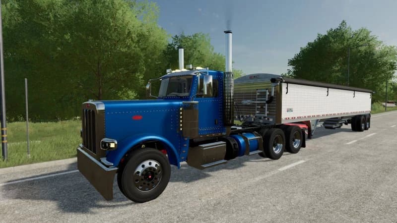 PETERBILT 389 4