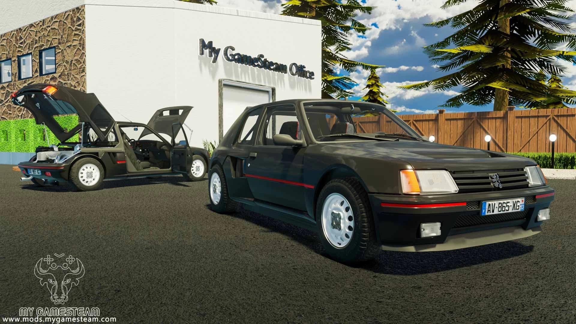 PEUGEOT 205 TURBO 1984 5