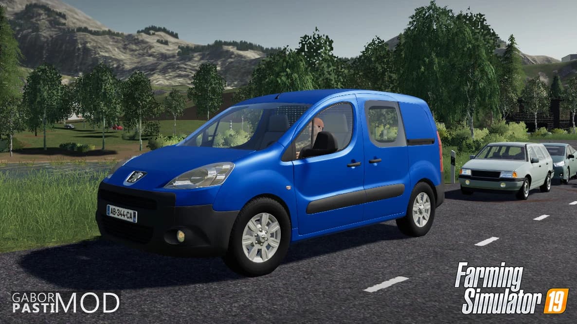 PEUGEOT PARTNER 2009 4