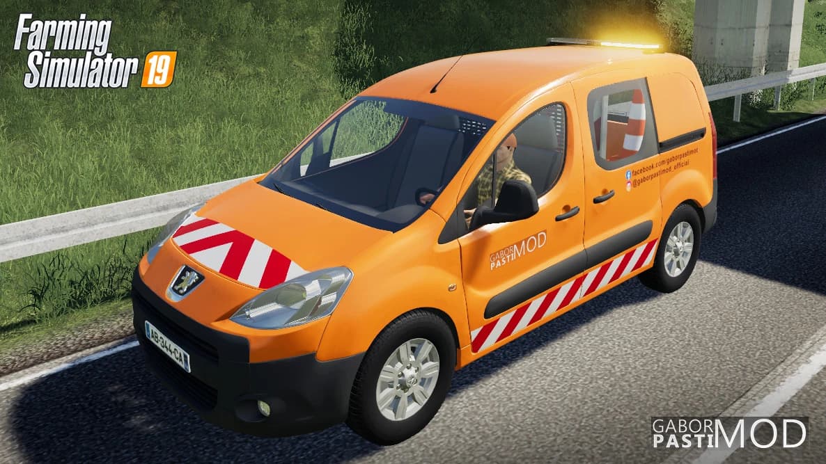PEUGEOT PARTNER 2009 3