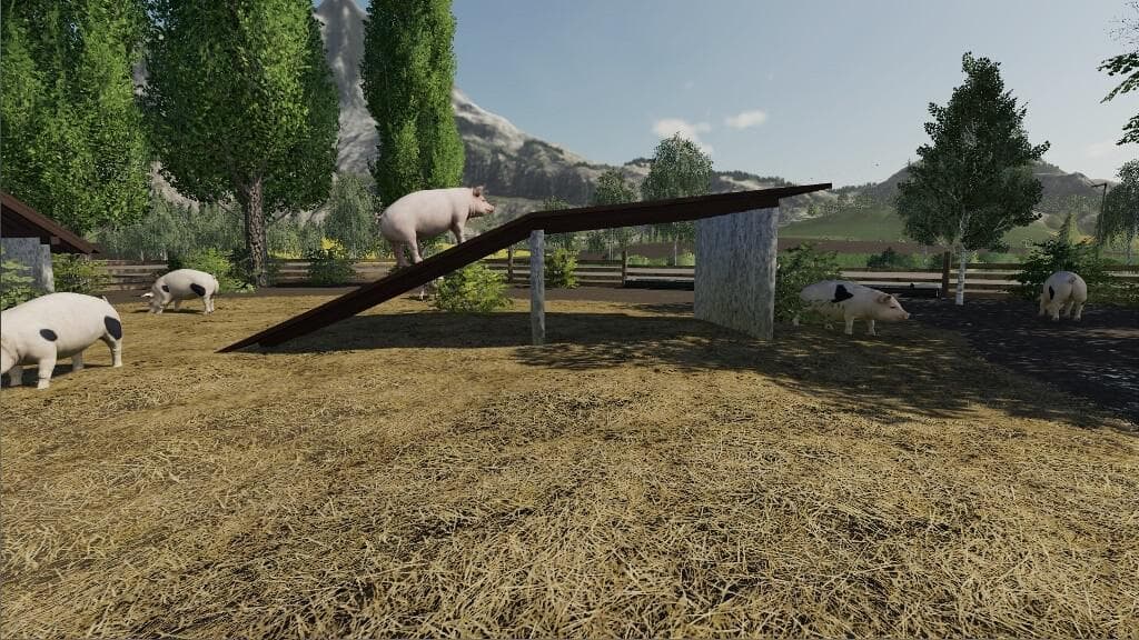 PIG ENCLOSURE NATURE 5