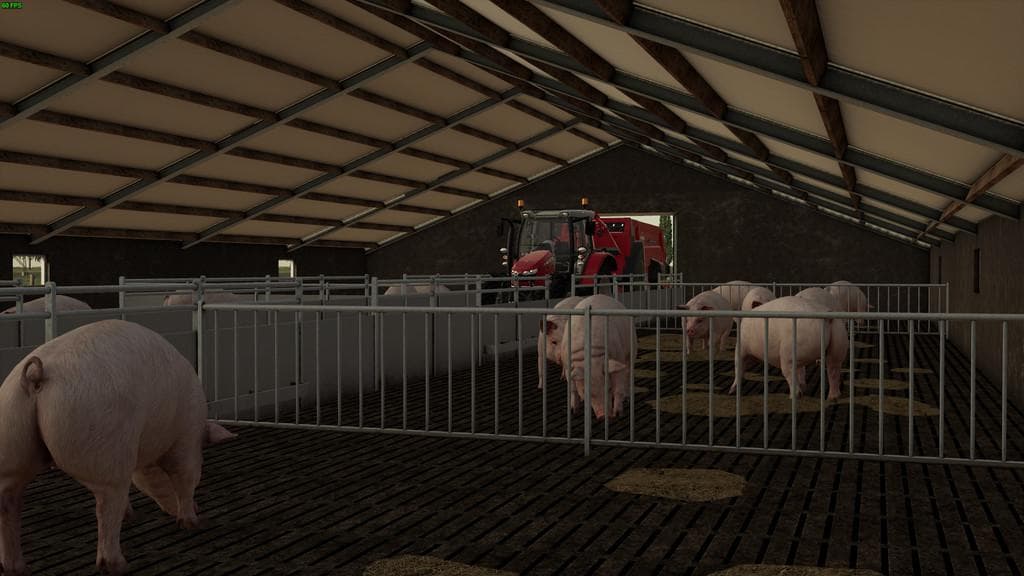 PIGSHED 5