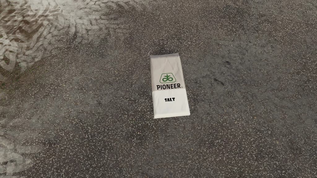 PIONEER ROAD SALT 3