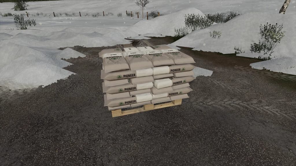 PIONEER ROAD SALT 2