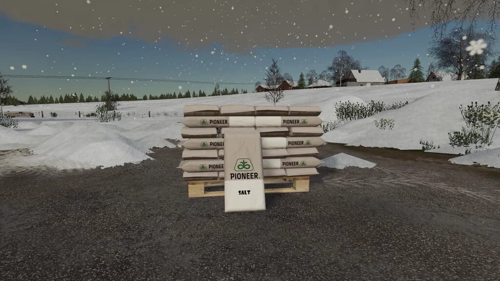 PIONEER ROAD SALT