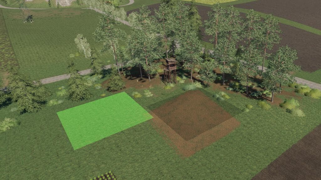 PLACEABLE FOREST AREA 5