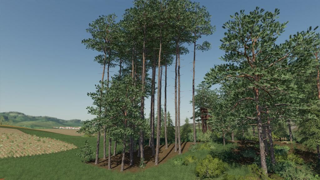PLACEABLE FOREST AREA