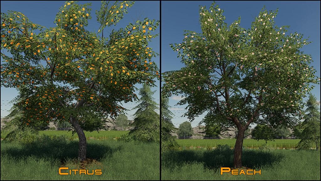 PLACEABLE FRUIT TREES PACK 3