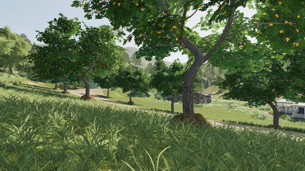 PLACEABLE FRUIT TREES 4