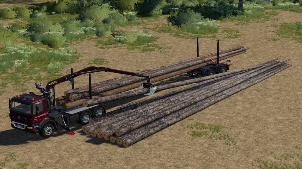 PLACEABLE LONGWOOD PACK 4