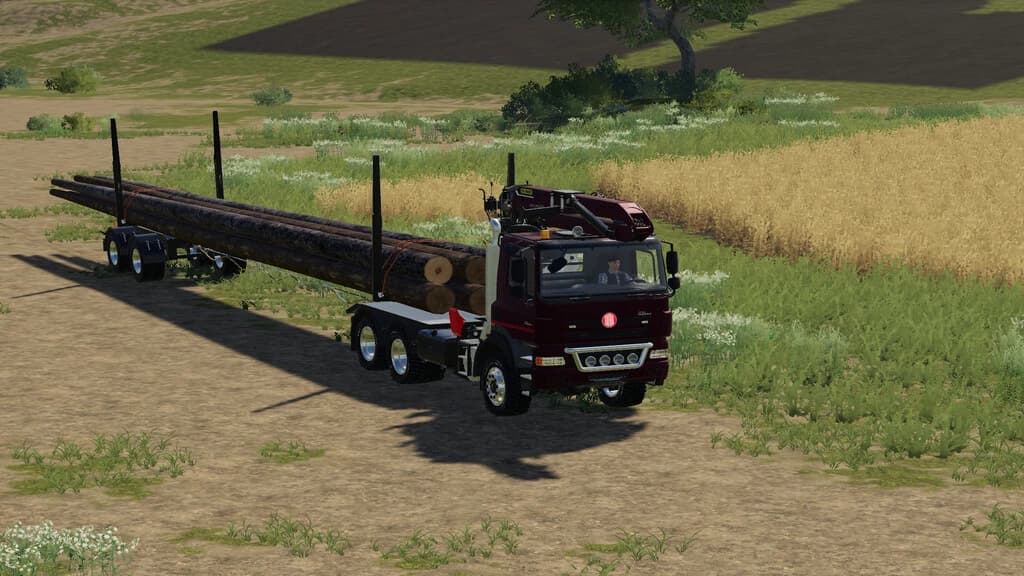 PLACEABLE LONGWOOD PACK 2