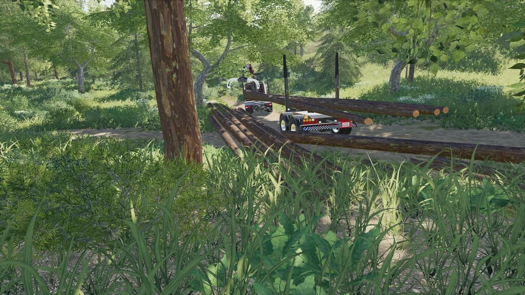 PLACEABLE LONGWOOD PACK