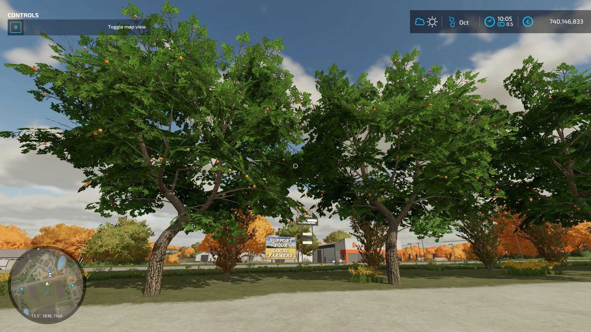 PLACEABLE ORANGE TREE 2
