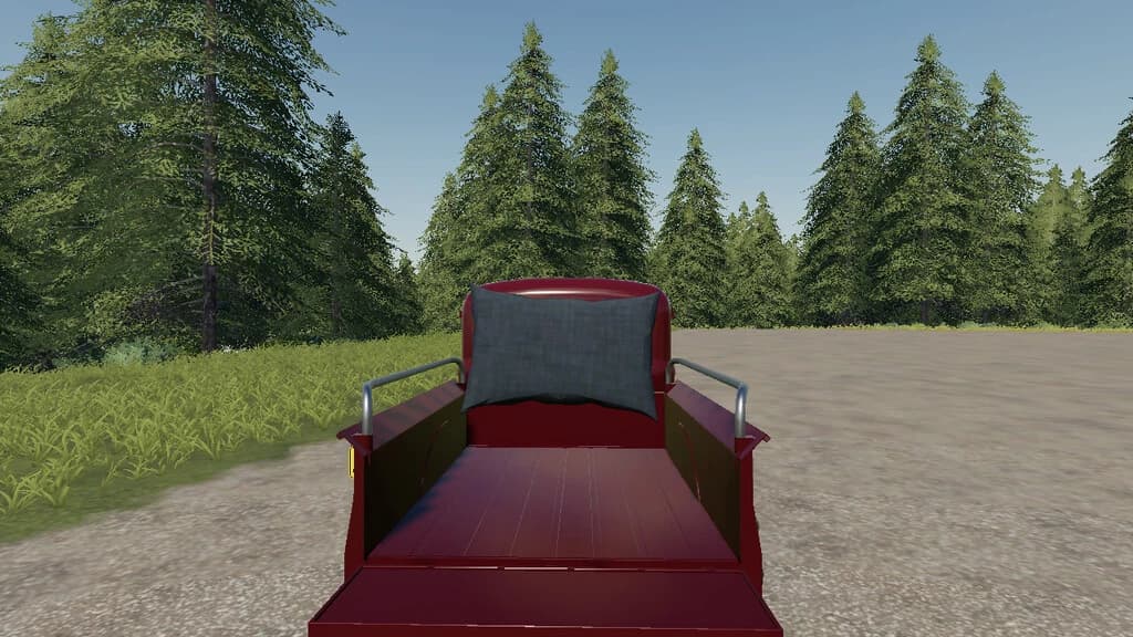 PLACEABLE PILLOW 2