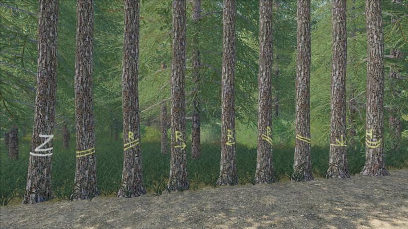 PLACEABLE SKIDTRAIL TREES 5