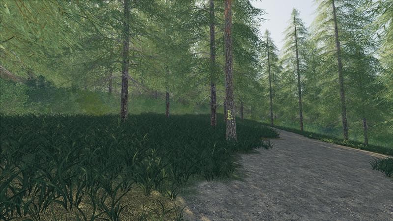 PLACEABLE SKIDTRAIL TREES 3