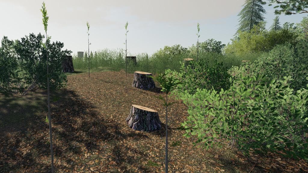 PLAYER PLANT TREES 2