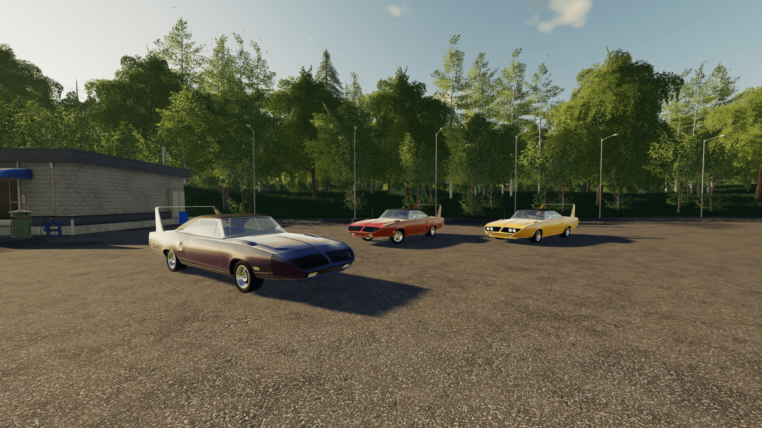 PLYMOUTH SUPERBIRD 1970 5