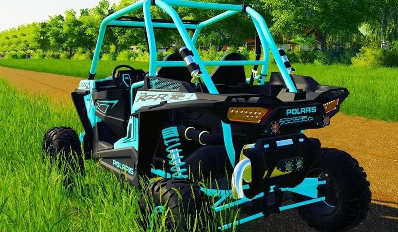 POLARIS RZR 4