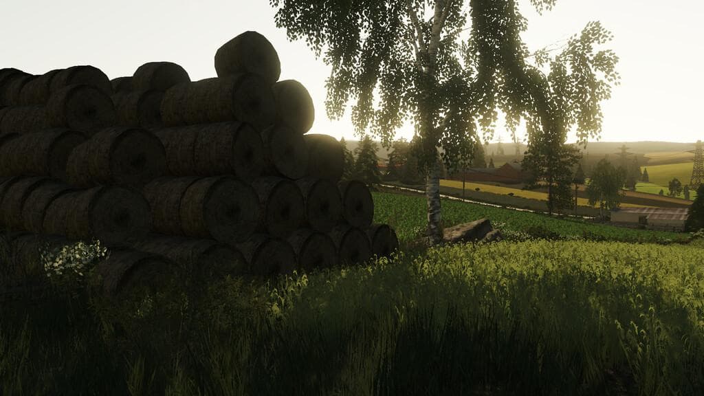 POLESIE MAP 5
