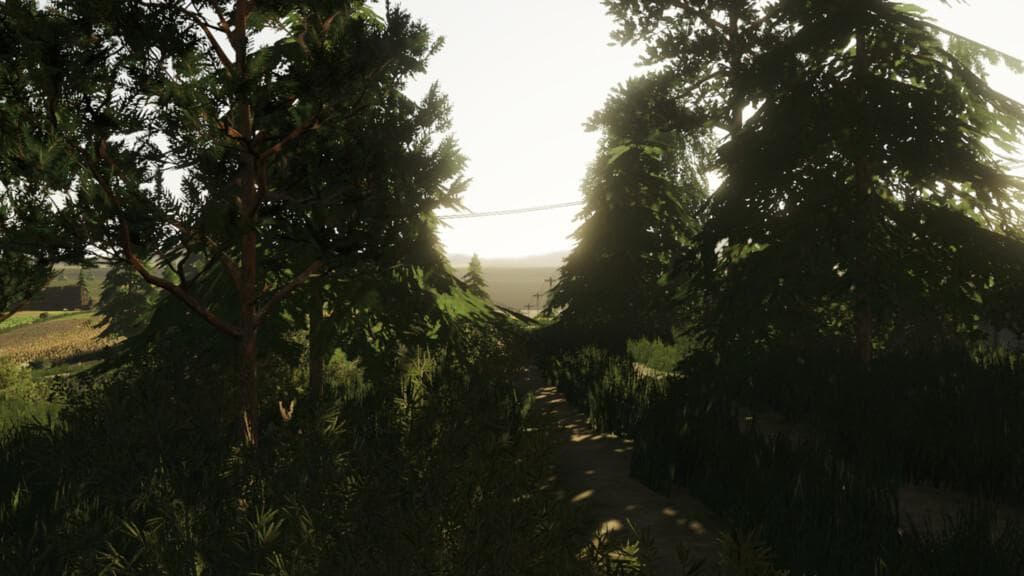 POLESIE MAP 3