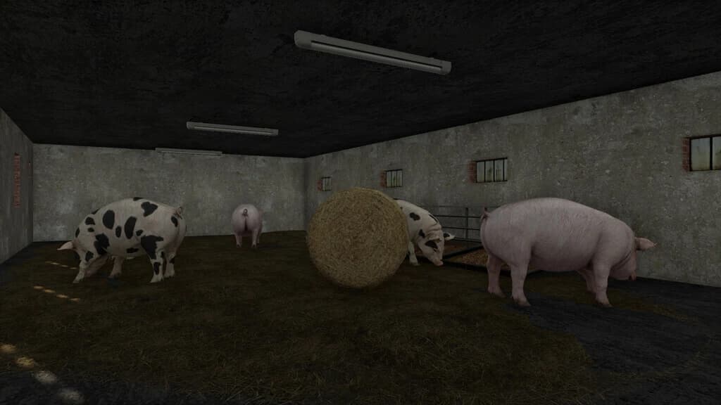 POLISH BARN 5