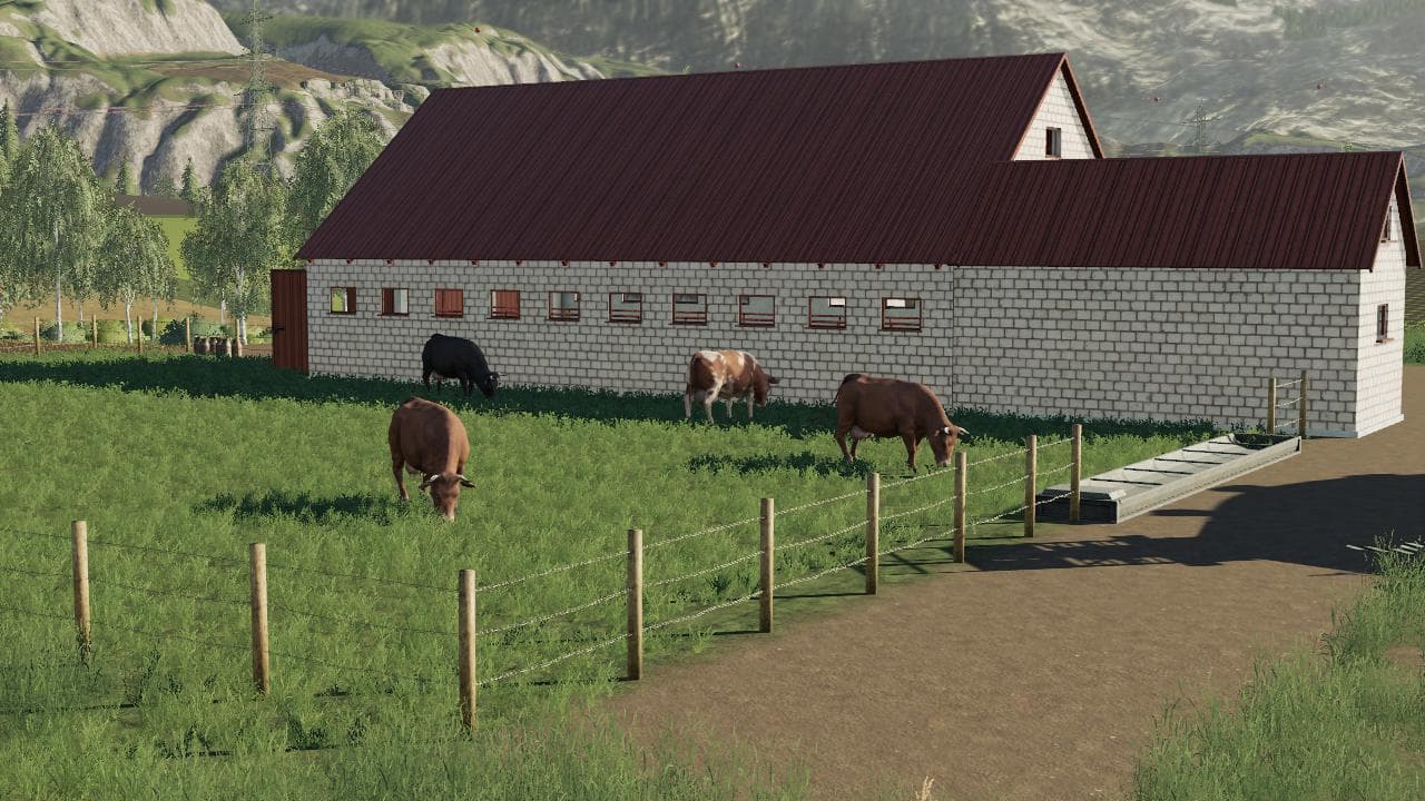 POLISH COW PASTURE 3