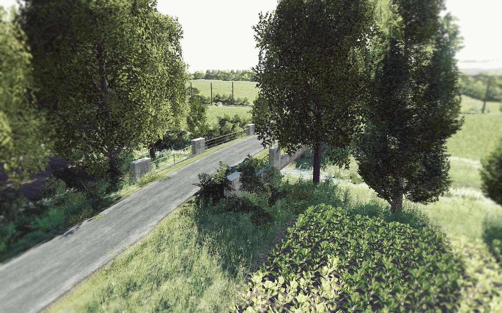 POLISH FIELDS 2