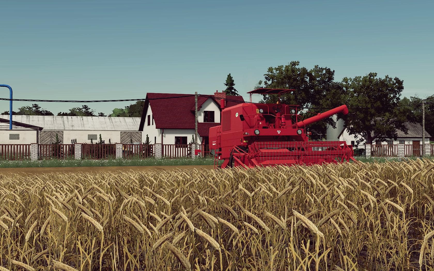 POLISH FIELDS