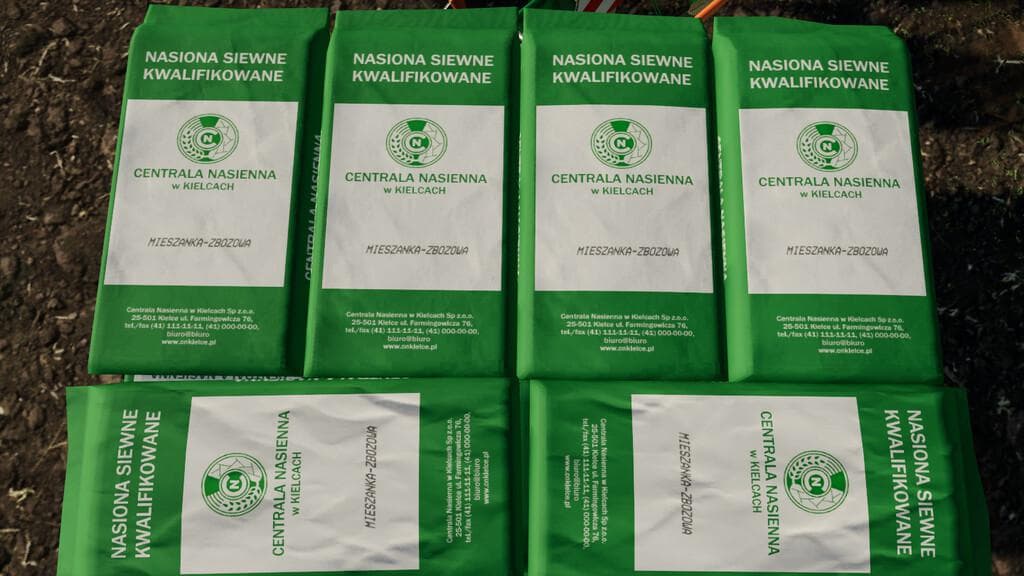 POLISH SEED PALLETS 7