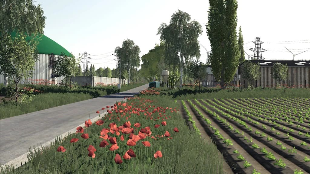 POPPY PLAINS 5