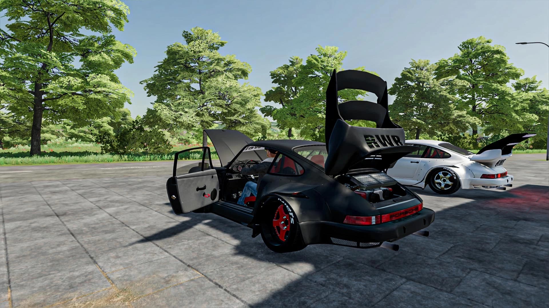PORSCHE 911 RAUH-WELT 3