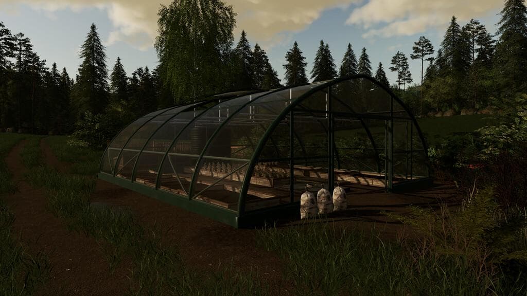 POTATO GREENHOUSE 2