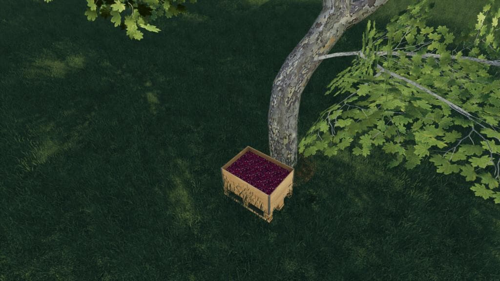 PRODUCTIONS - TREE FRUITS 3