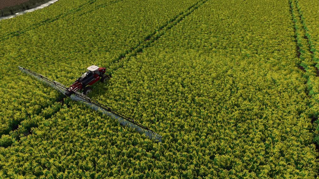 PROSEED 2