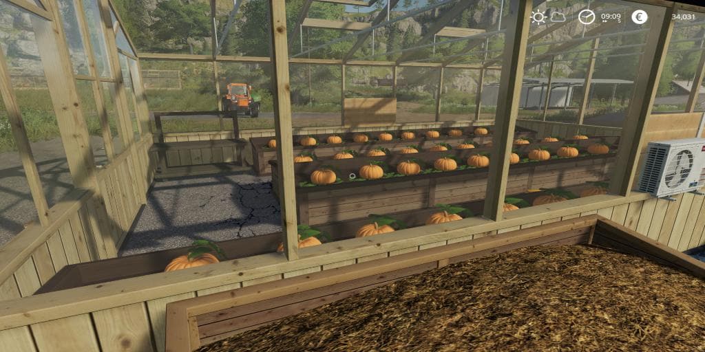 PUMPKIN PRODUCTION 2