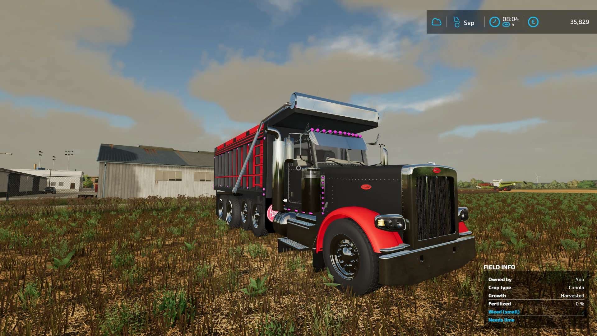 PETERBILT 379 DUMP 5