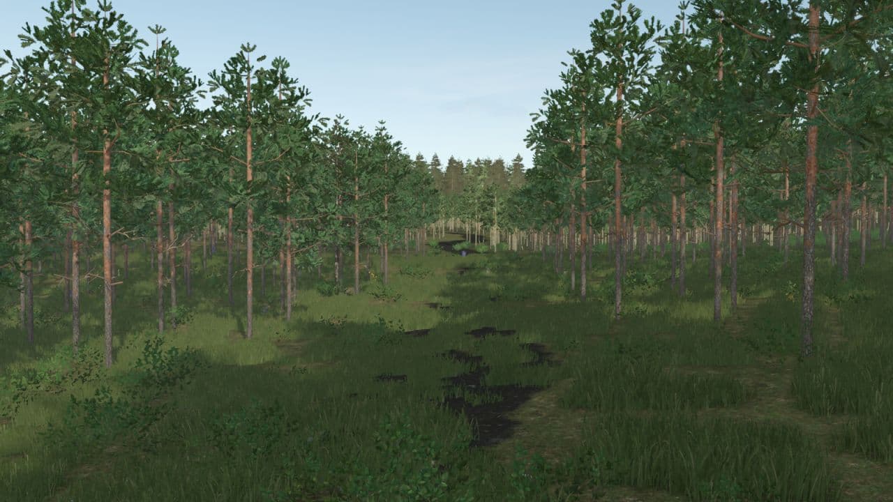 Pinewood Forest Next Generation 4