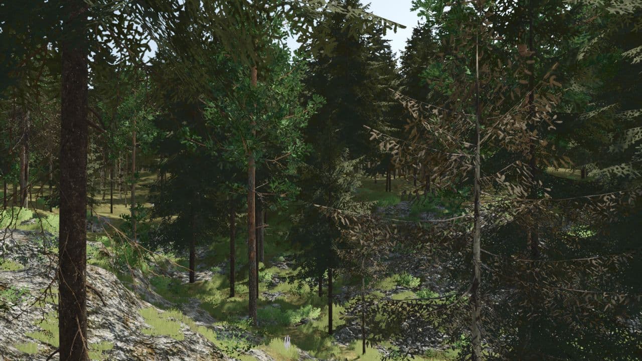Pinewood Forest Next Generation 3