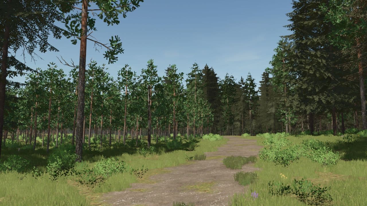 Pinewood Forest Next Generation 2