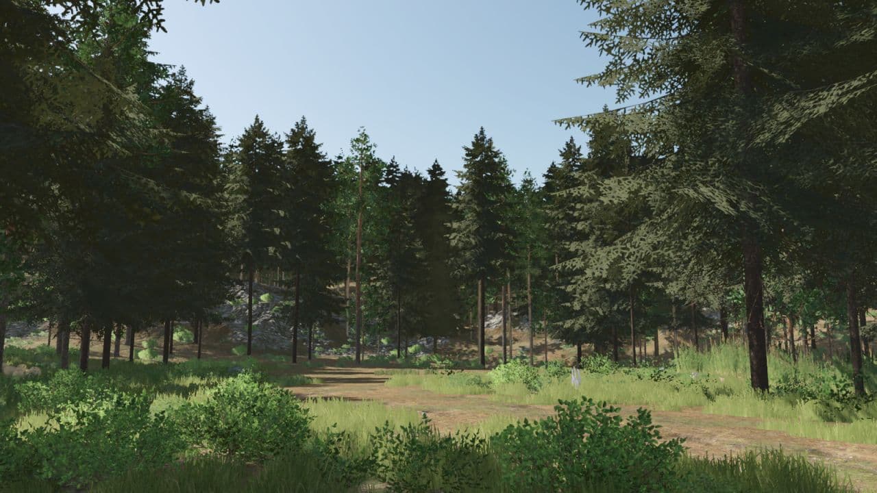 Pinewood Forest Next Generation